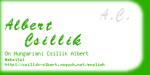 albert csillik business card